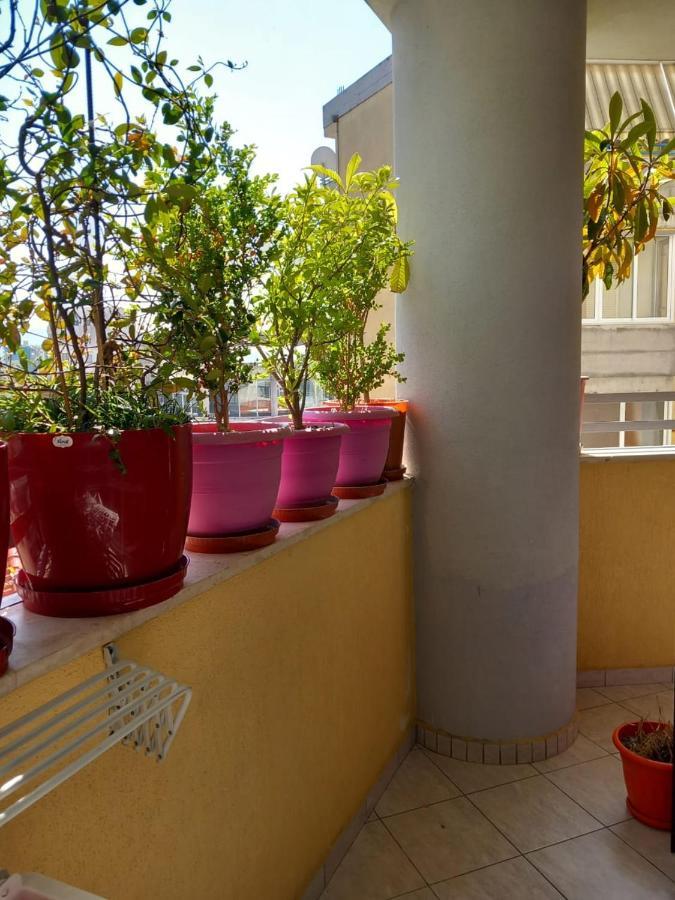שקודר Holiday Center Apartment מראה חיצוני תמונה